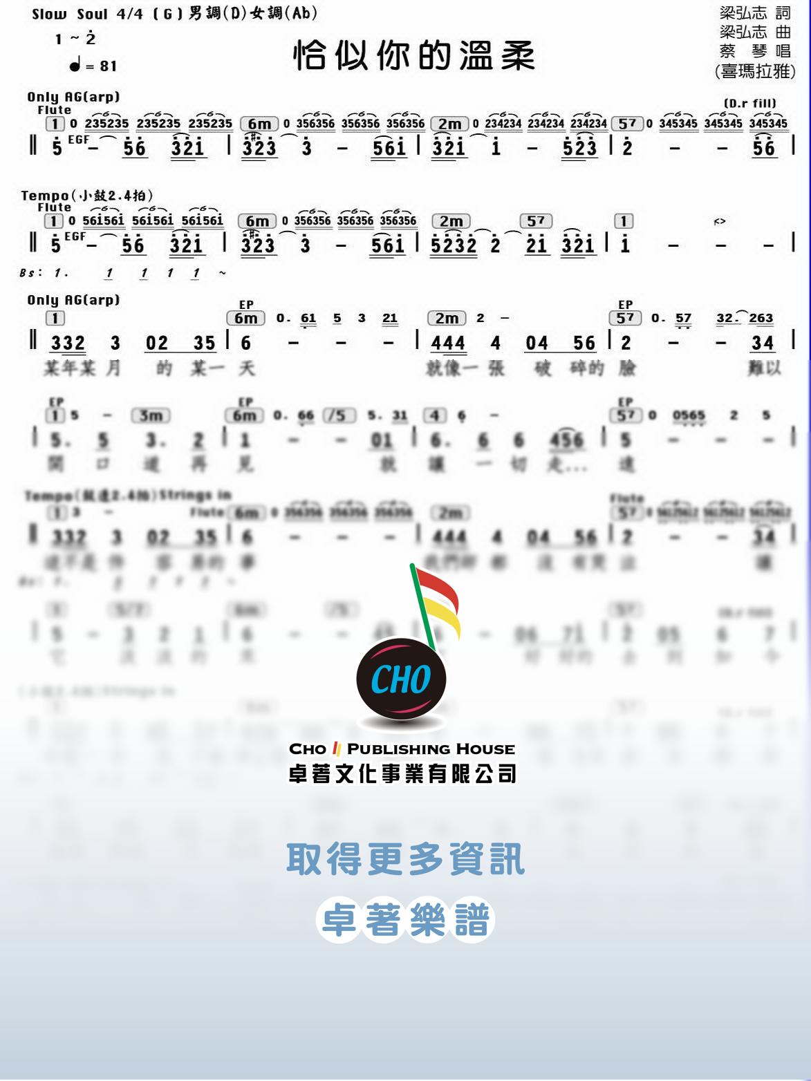 恰似你的溫柔